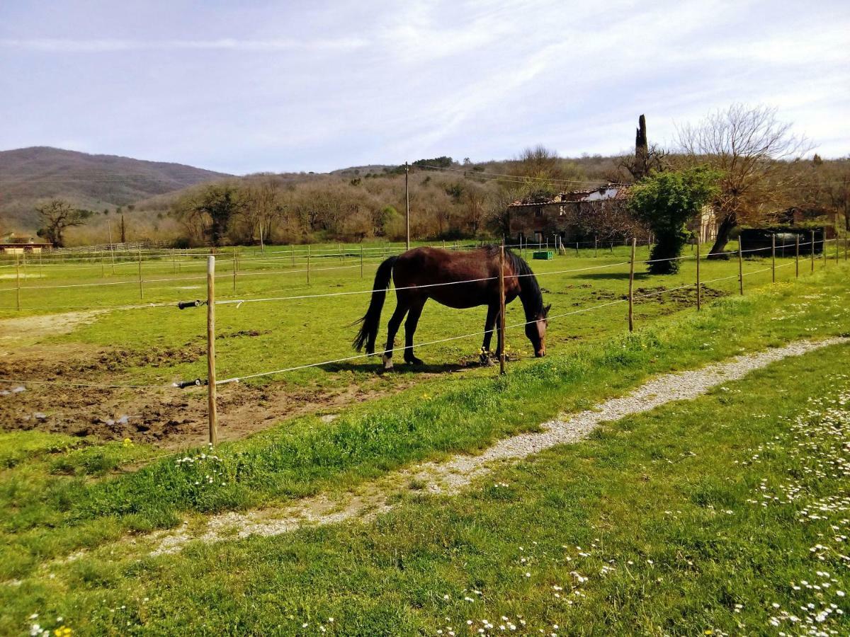 Apartament Antica Dimora Figli Di Bocco Castiglion Fibocchi Zewnętrze zdjęcie